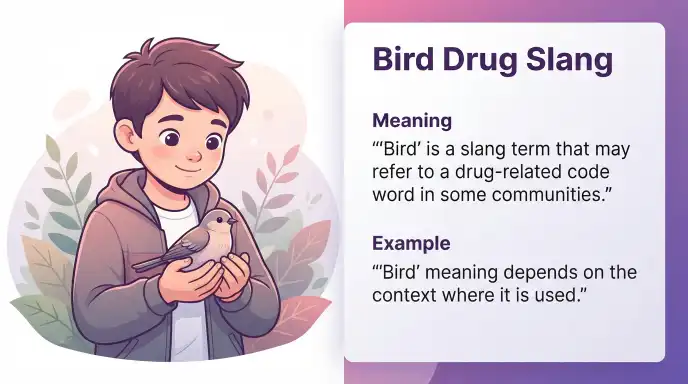 bird drug slang