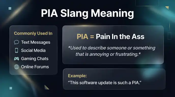 pia slang meaning