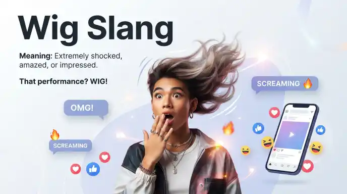 Wig Slang