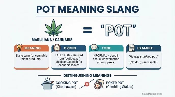 Pot meaning slang