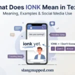 what do ionk mean in text