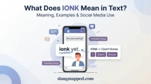 what do ionk mean in text